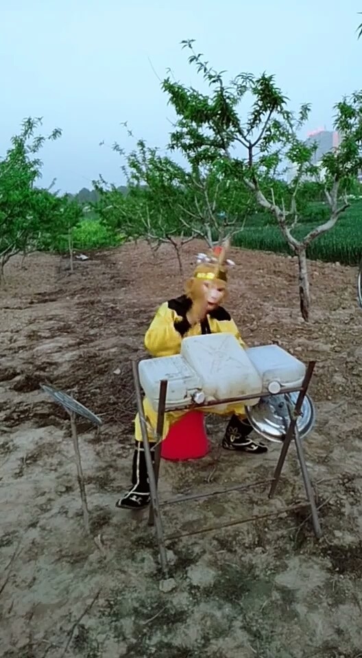 猴哥取经之后