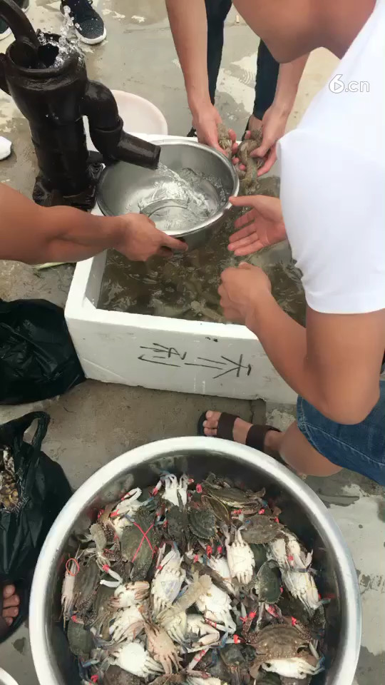 葫芦岛海鲜