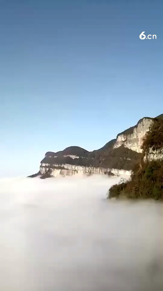 美美
