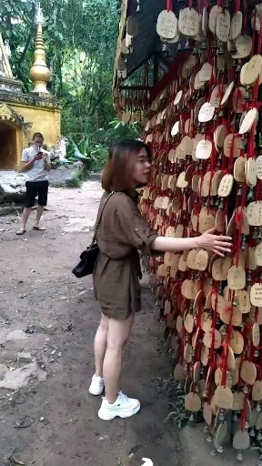 许愿树