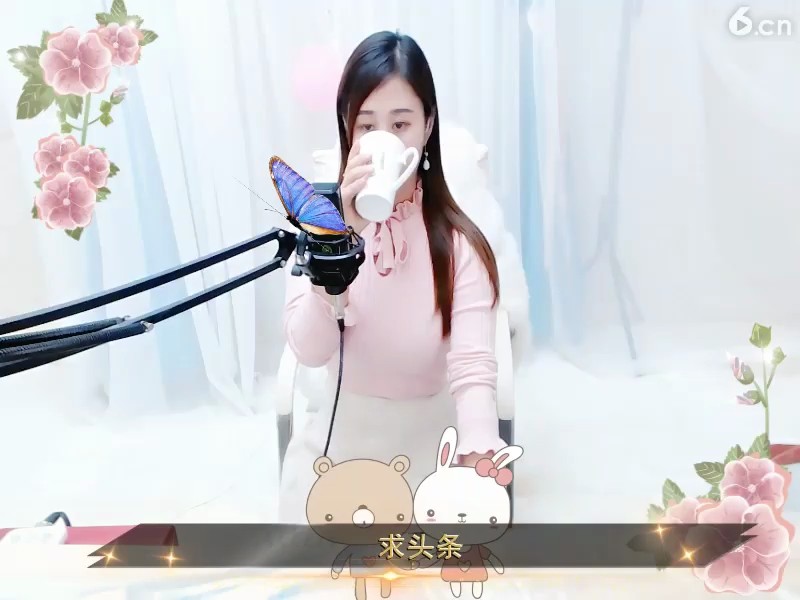 母体回来