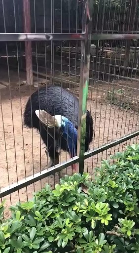 哈哈