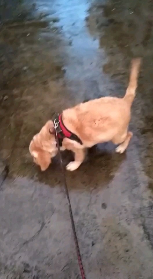 《毛毛》 你在哪里