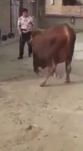 厉害👍