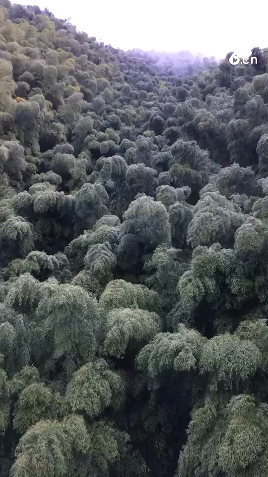 回忆