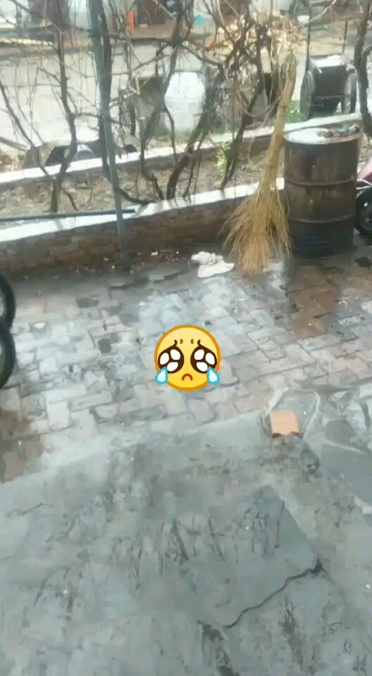 。。。。。。。
