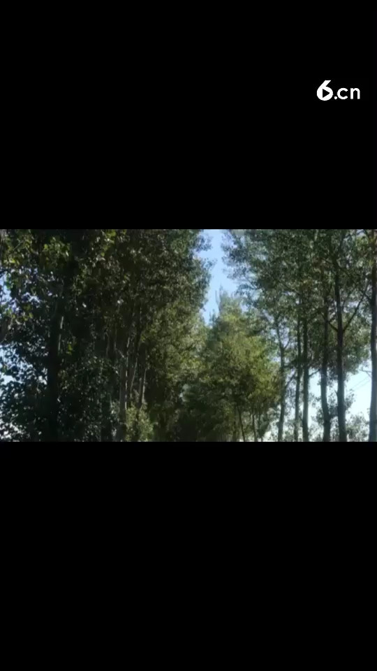 路上景色很美