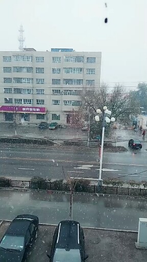 新疆博乐市⛄⛄⛄雨加雪⛄⛄⛄