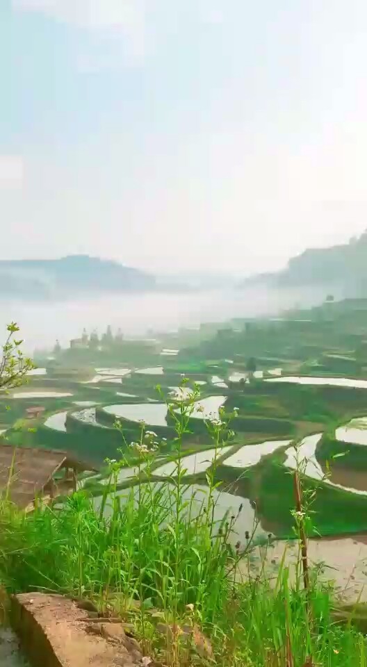 贵州