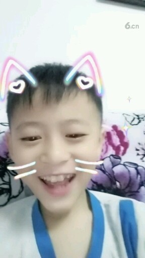 小猫咪叫