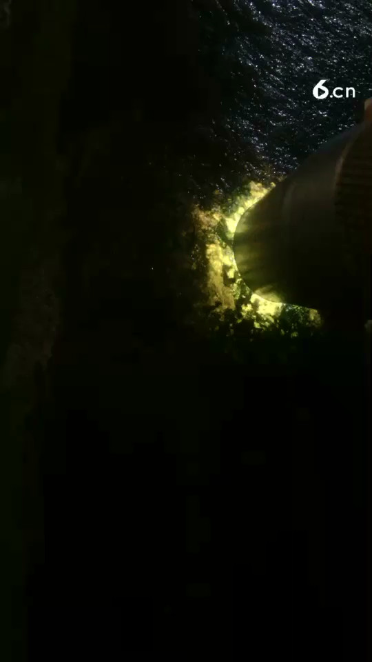 莫细沙尖沙皮