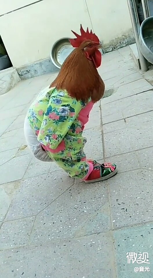 母鸡曰，老大这是变异了😊😊