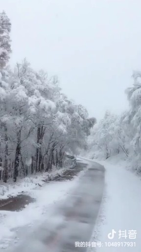 十月大美长白山的雪