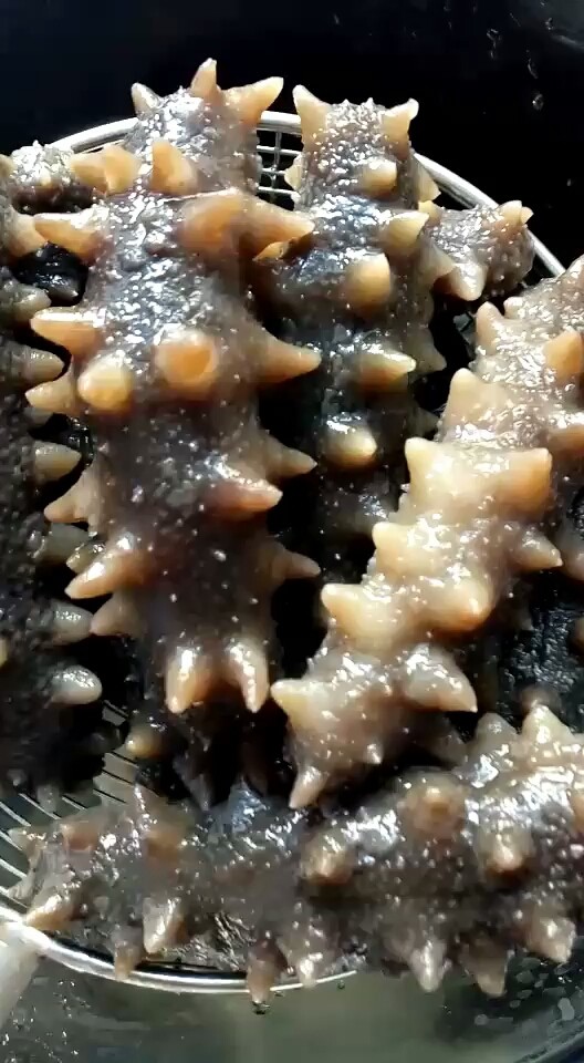 獐子岛纯野生货来一发