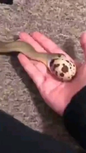 潜力无限