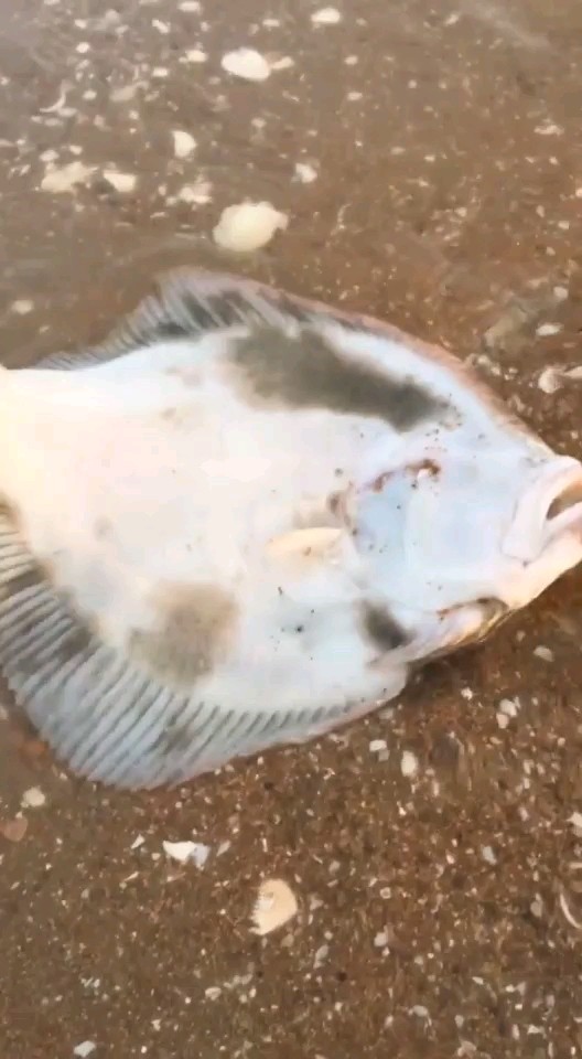 认识点赞，吃过关注走一走