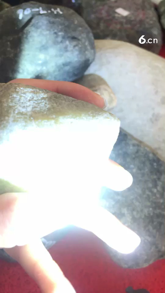 来来来