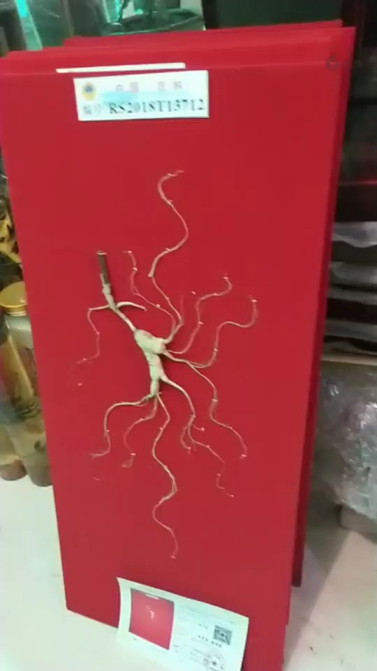 大量批发礼盒参，参洒质量保证