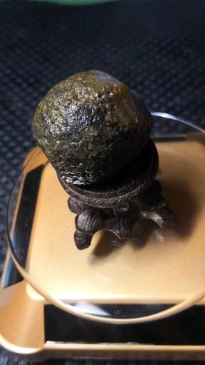 战国红北山，紫罗兰