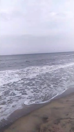 大海啊全是水