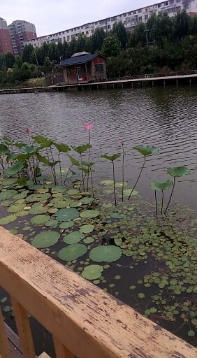 驸马沟