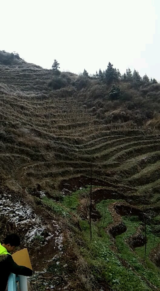 看风景美不美