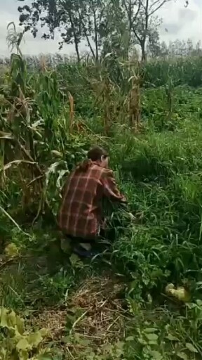 老公回来了，回家打扮接老公去