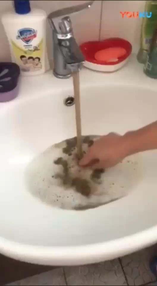 水真的很脏！！还是臭的！！