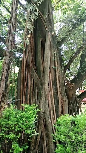 瑞丽市珠宝街一角