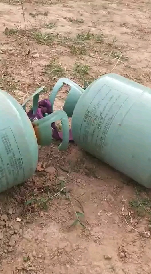 真厉害，这不是闹着玩儿