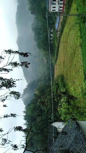 我家里门前风景