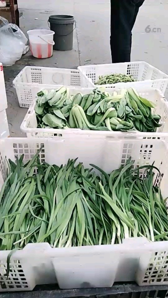 很快恢复直播