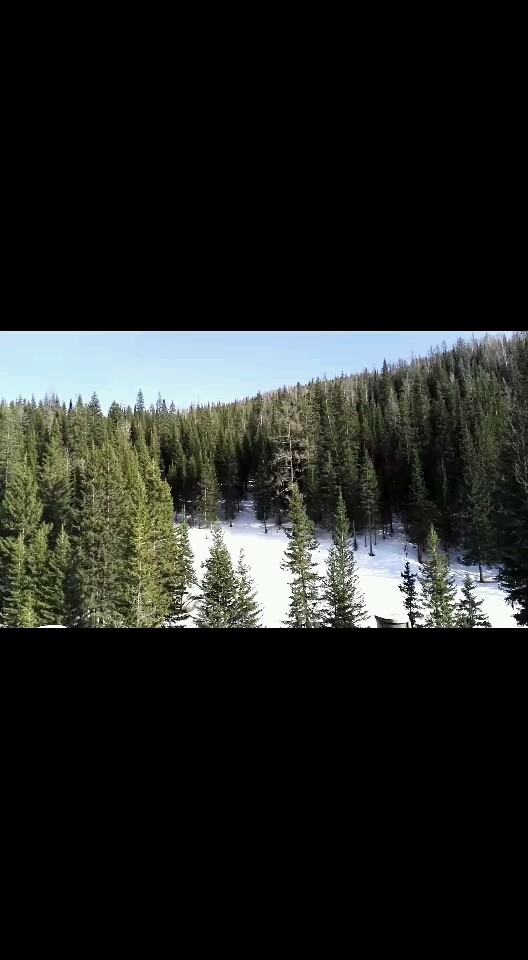 林海雪原禾木行