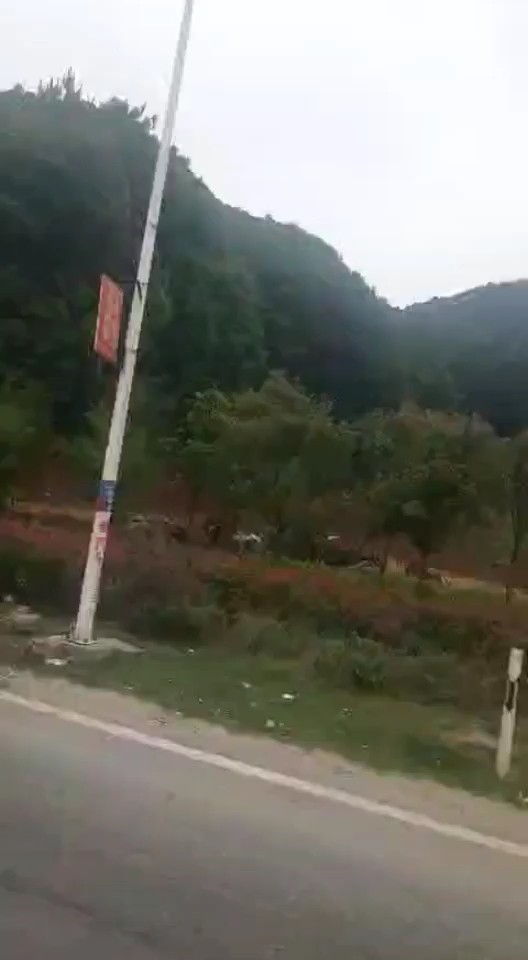 空气超好噢❤️