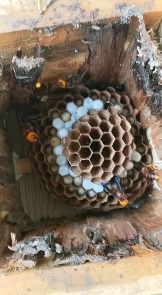 喜欢的双击加关注