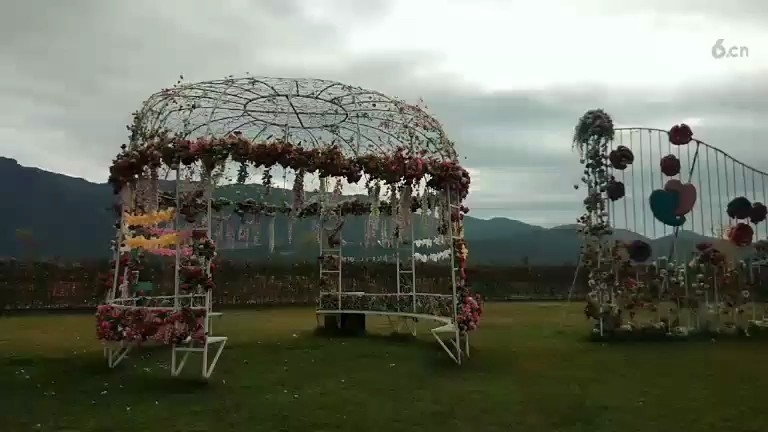 没玫瑰花园