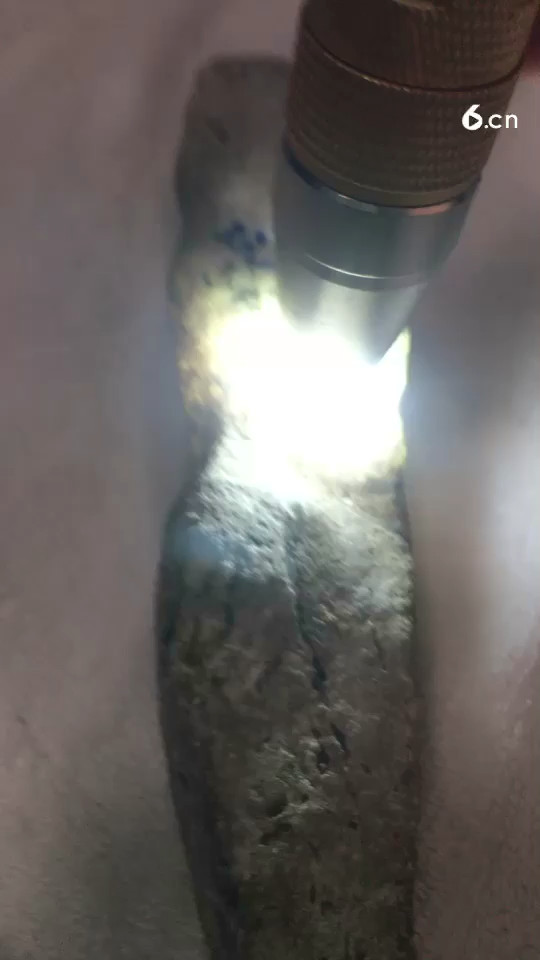 点关注.天天送福利
