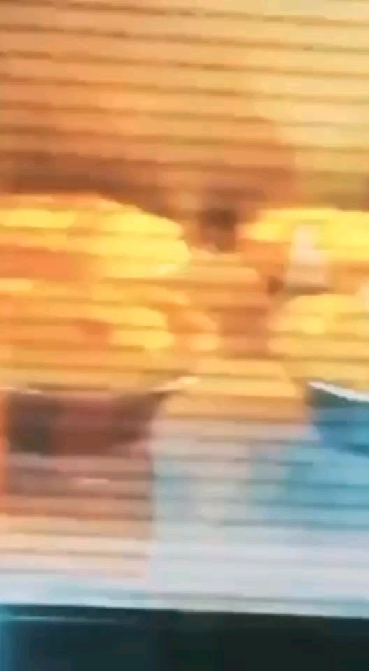 蛋挞培训出成品了