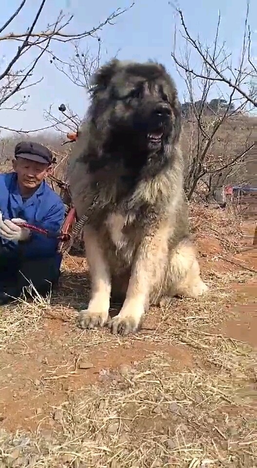 绝对满满的安全感