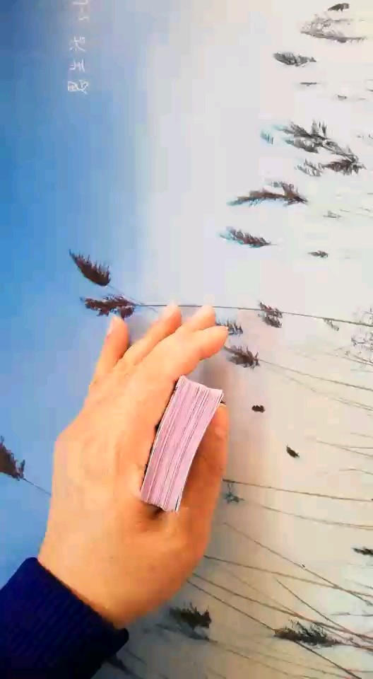 牌技终结者