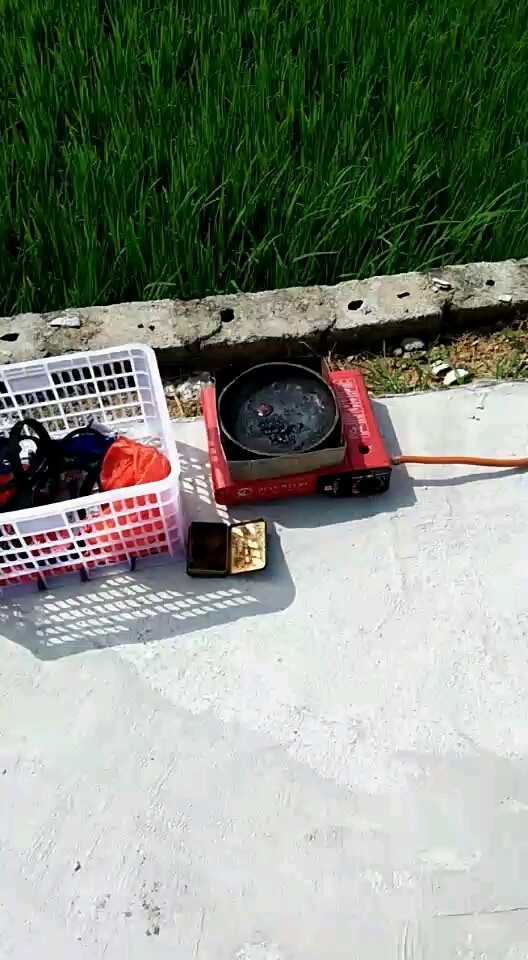 煮药抓蜂