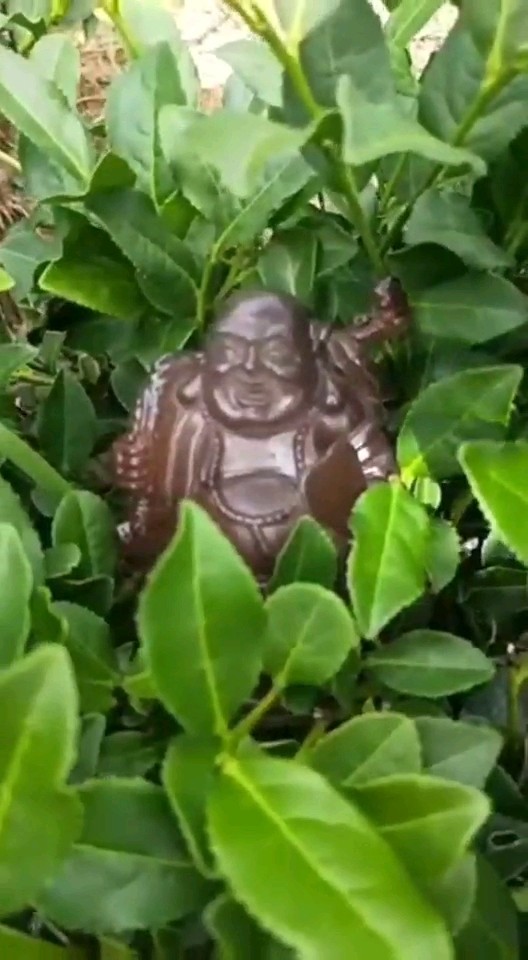 保证你没见过