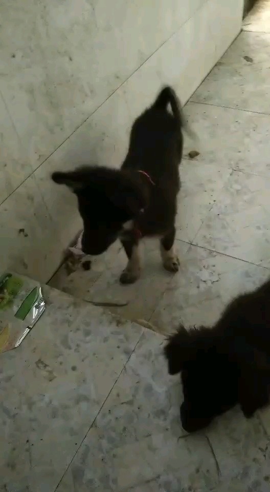 哈哈哈