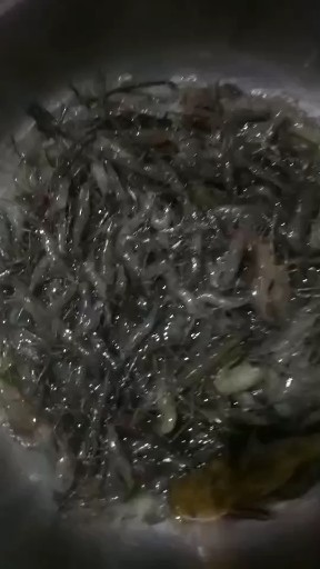 下午五点多出去的收的 地龙。
