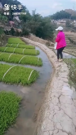 农村女