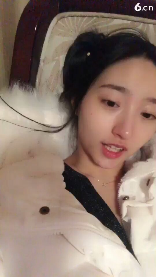 🐨🐻