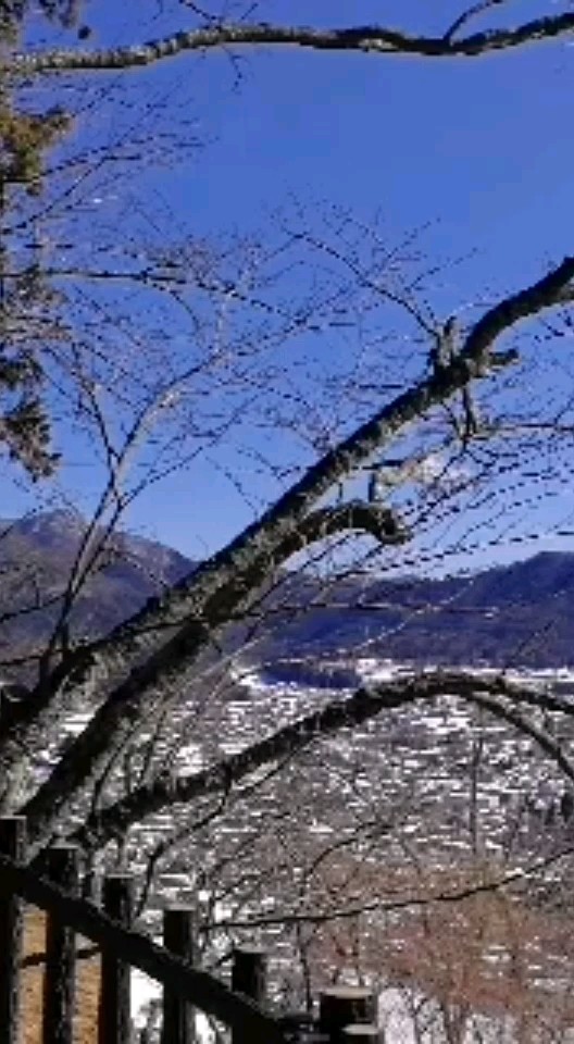 日本富士山新仓浅间公园