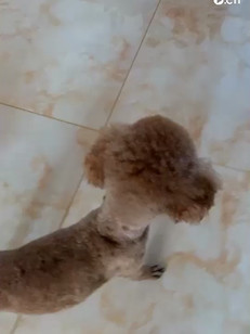 喜欢😘点关注➕小哥哥小姐姐