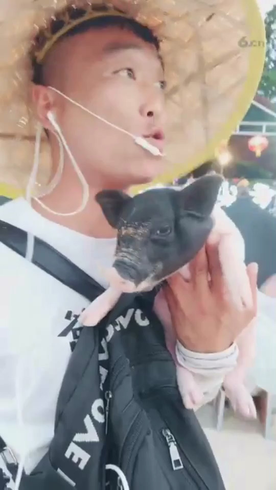 喝红牛了
