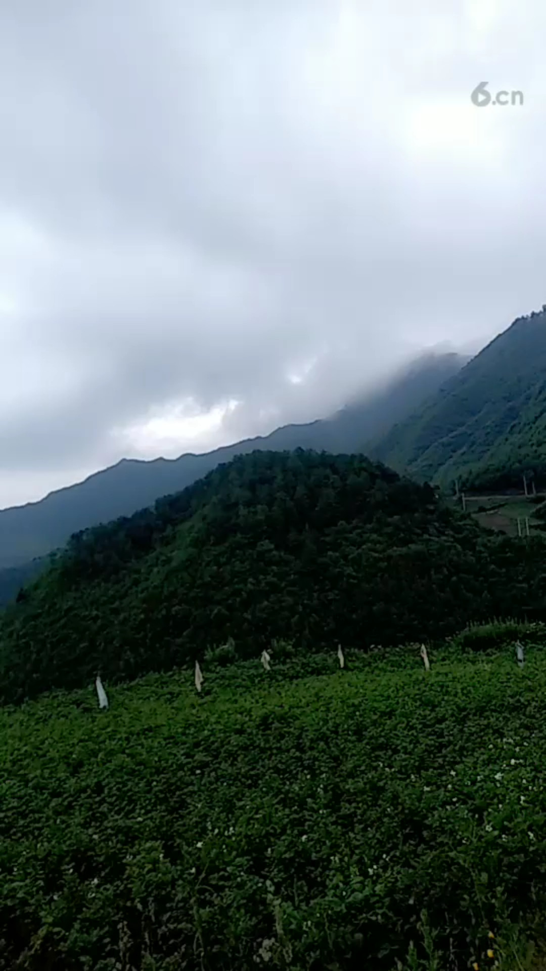 看起来下雨的样子。